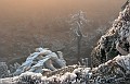 IMG_7776_1 kopie